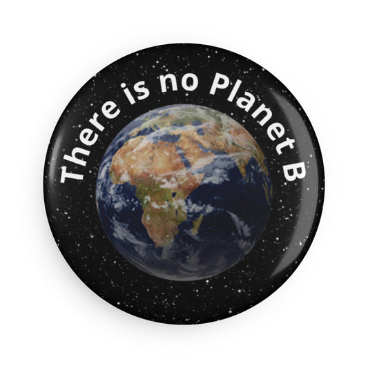 Button: "There Is No Planet B"